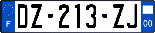 DZ-213-ZJ