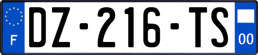 DZ-216-TS