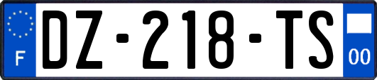 DZ-218-TS