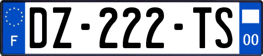 DZ-222-TS