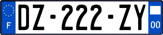 DZ-222-ZY