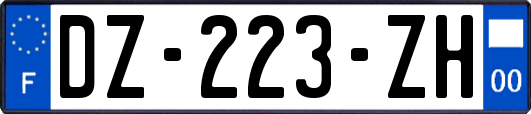 DZ-223-ZH