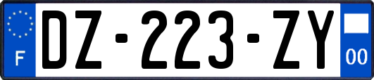 DZ-223-ZY