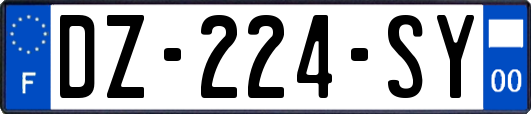 DZ-224-SY