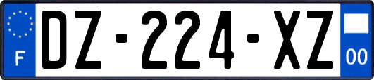 DZ-224-XZ