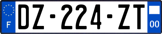 DZ-224-ZT