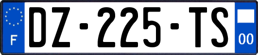 DZ-225-TS