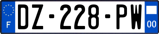 DZ-228-PW