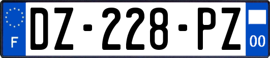 DZ-228-PZ