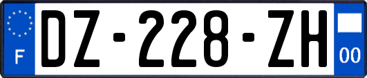 DZ-228-ZH