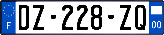 DZ-228-ZQ