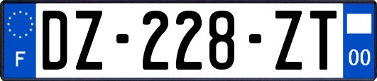 DZ-228-ZT