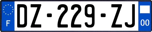 DZ-229-ZJ