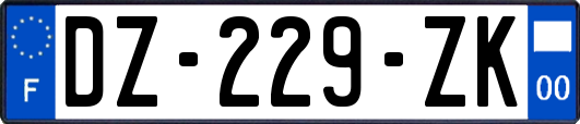 DZ-229-ZK