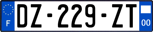 DZ-229-ZT