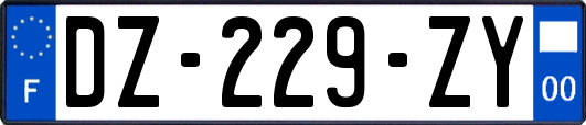 DZ-229-ZY