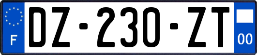 DZ-230-ZT