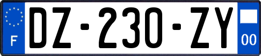 DZ-230-ZY