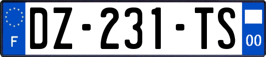 DZ-231-TS