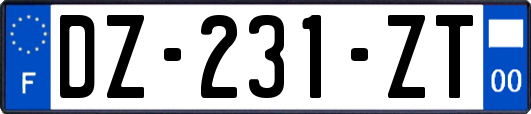 DZ-231-ZT