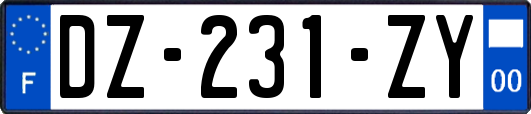 DZ-231-ZY