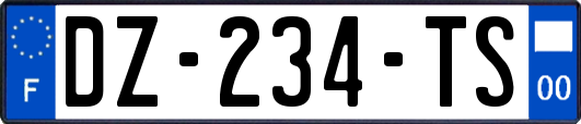 DZ-234-TS