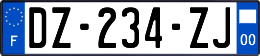 DZ-234-ZJ