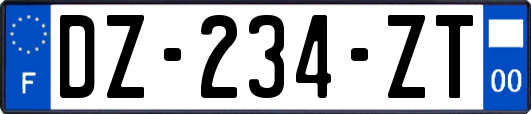 DZ-234-ZT