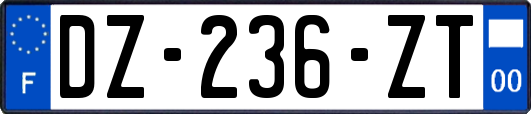 DZ-236-ZT