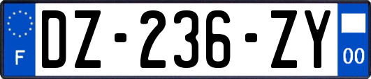 DZ-236-ZY