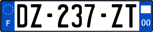 DZ-237-ZT