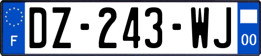 DZ-243-WJ