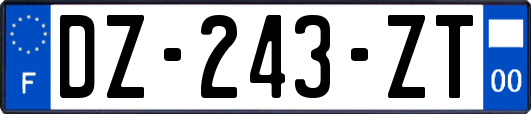 DZ-243-ZT