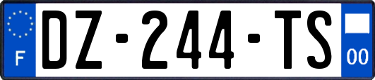 DZ-244-TS