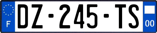 DZ-245-TS