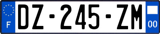 DZ-245-ZM