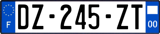 DZ-245-ZT