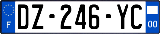 DZ-246-YC