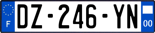 DZ-246-YN