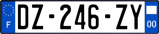 DZ-246-ZY