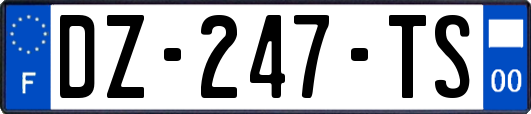 DZ-247-TS