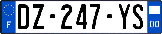 DZ-247-YS