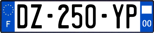 DZ-250-YP