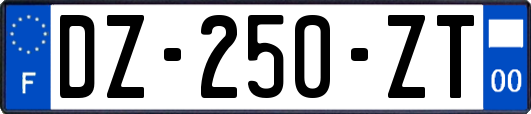 DZ-250-ZT