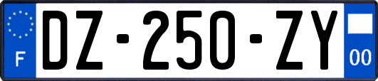 DZ-250-ZY