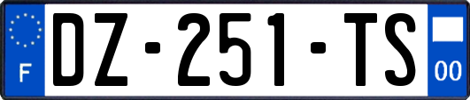 DZ-251-TS