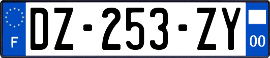 DZ-253-ZY