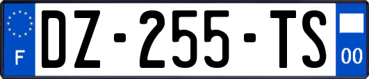 DZ-255-TS