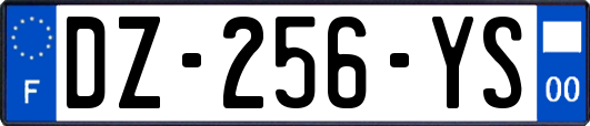 DZ-256-YS