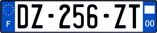 DZ-256-ZT